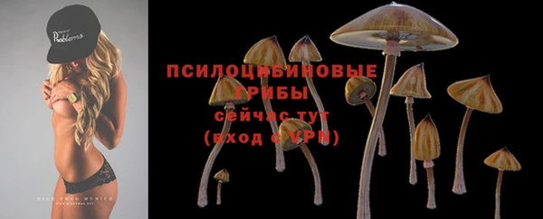 PSILOCYBIN Лихославль