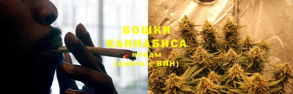 гидропоника Магас